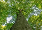 009 Steffen Schanz 4